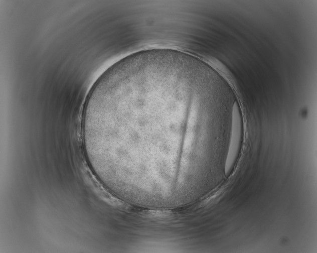 X0000115551052200911271429