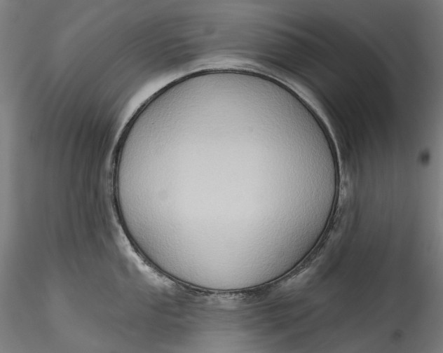 X0000115551053200911271429