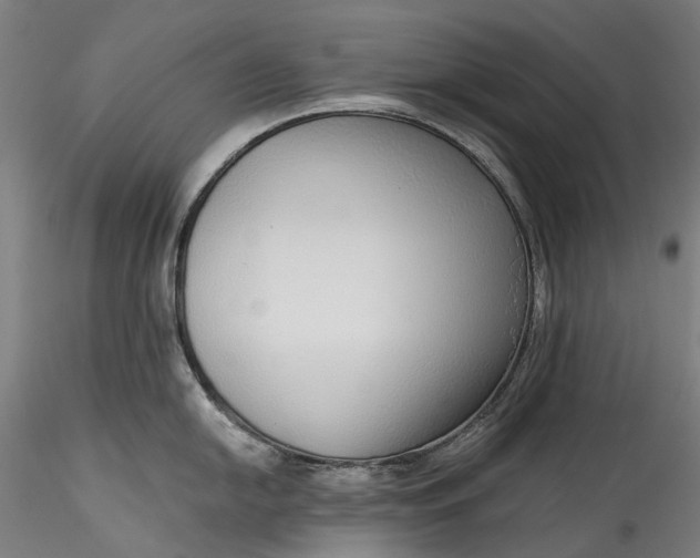 X0000115551054200911271429