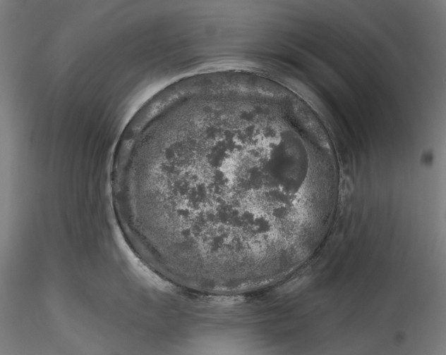 X0000115551055200911271429