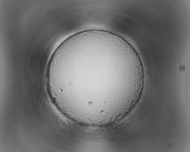 X0000115551056200911271429