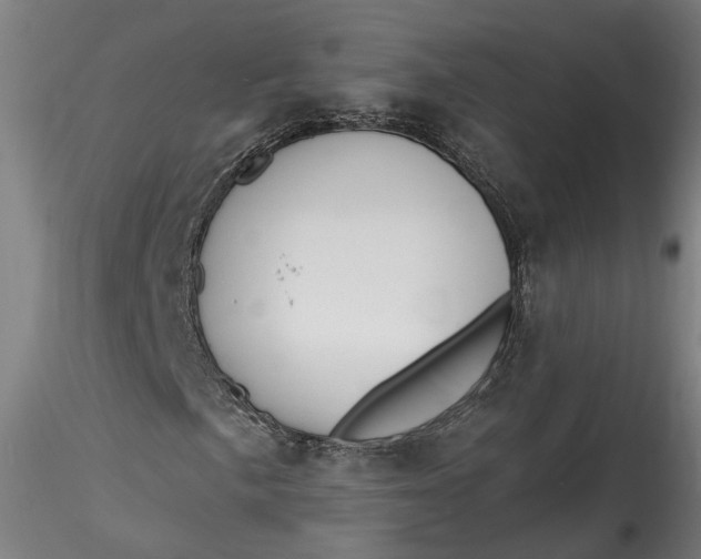 X0000115551057200911271428