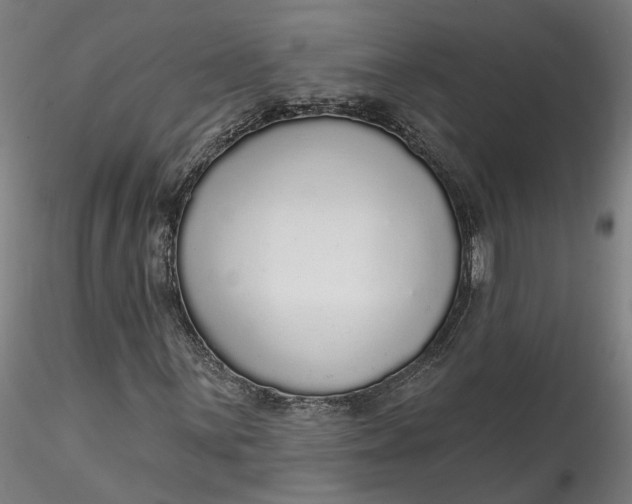 X0000115551059200911271428