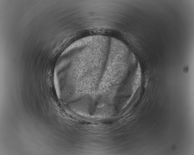 X0000115551060200911271428