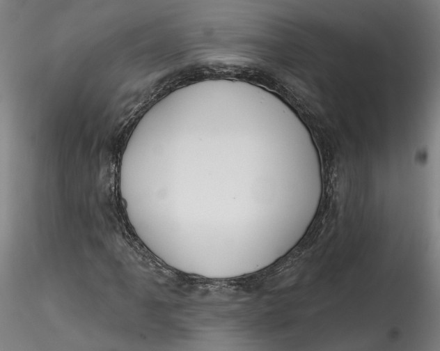 X0000115551061200911271428