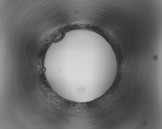 X0000115551062200911271428