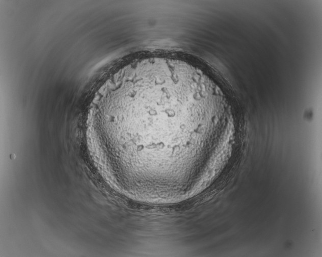 X0000115551063200911271428