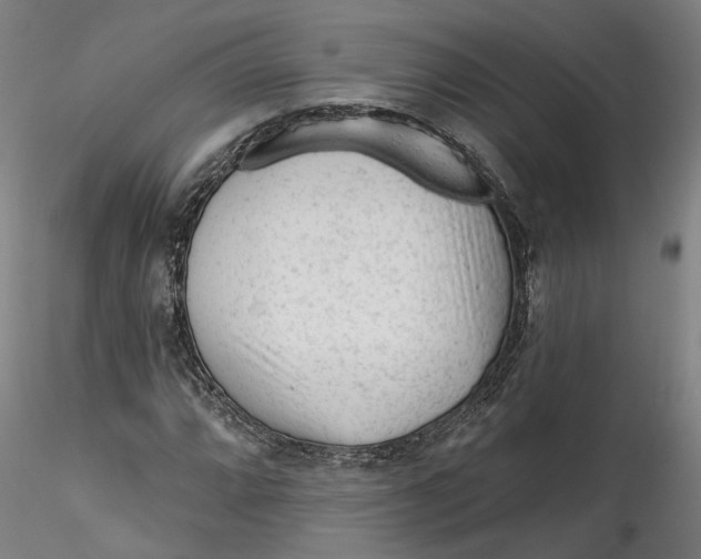 X0000115551064200911271428