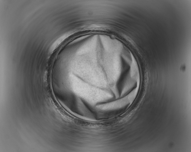 X0000115551066200911271428