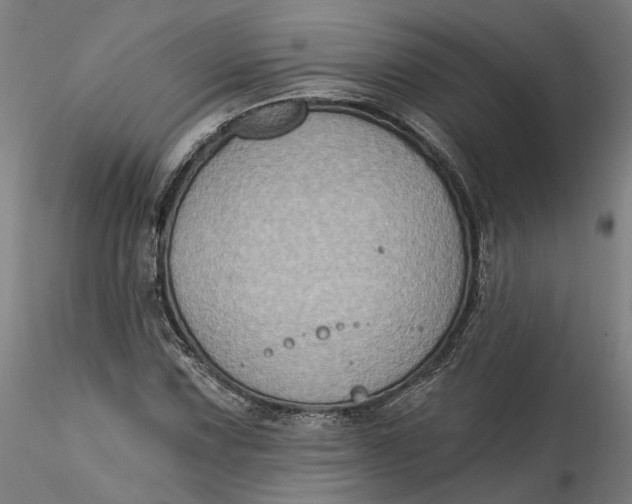 X0000115551067200911271428