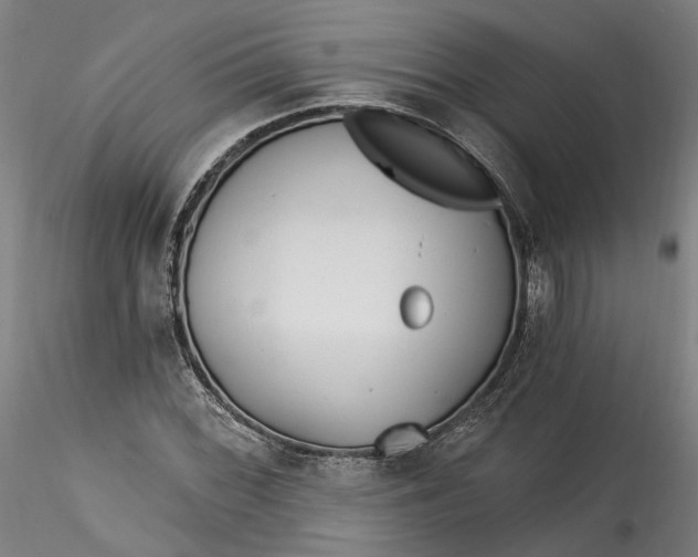 X0000115551068200911271428