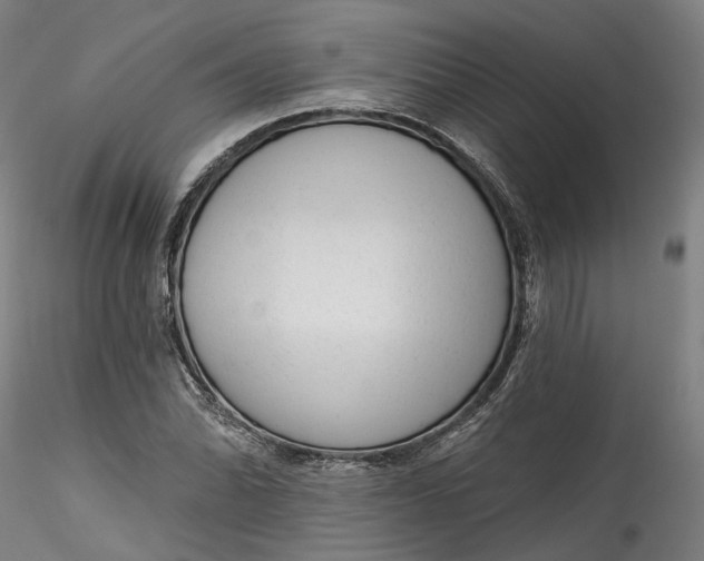 X0000115551070200911271428