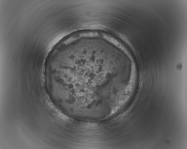 X0000115551071200911271428