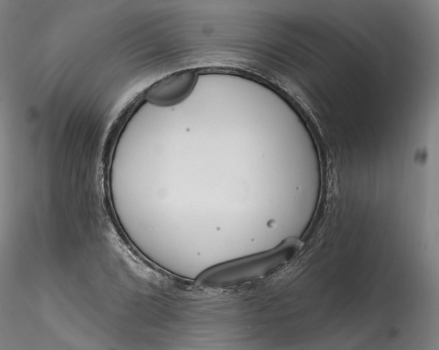 X0000115551072200911271428