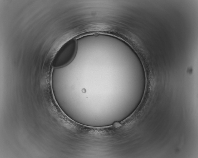 X0000115551073200911271428