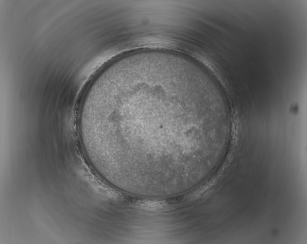 X0000115551074200911271428