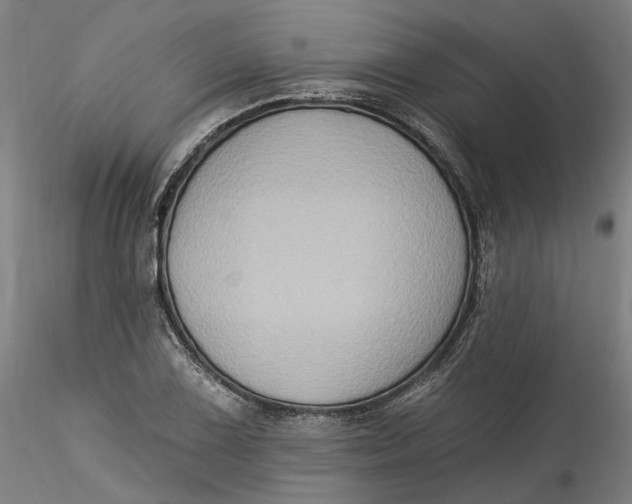 X0000115551075200911271428