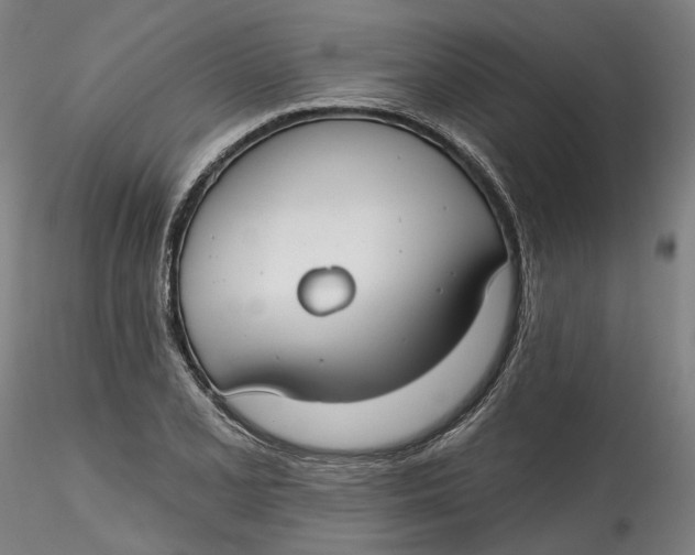 X0000115551077200911271428