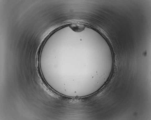 X0000115551082200911271428