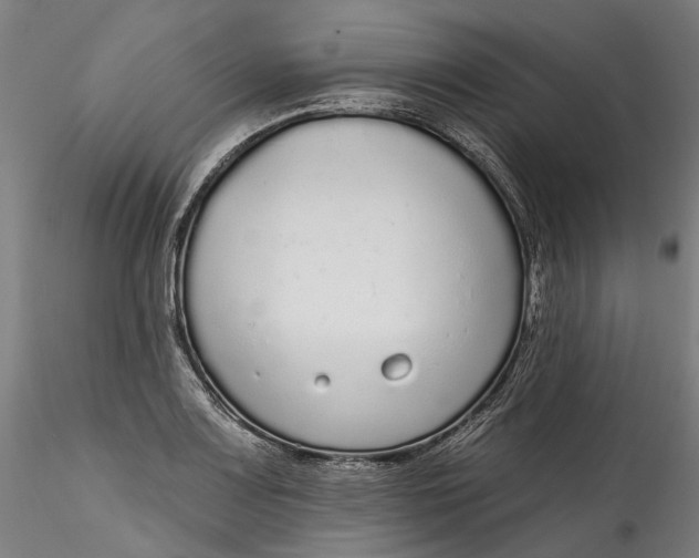 X0000115551083200911271428