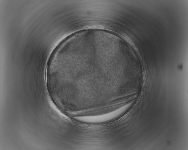 X0000115551084200911271428