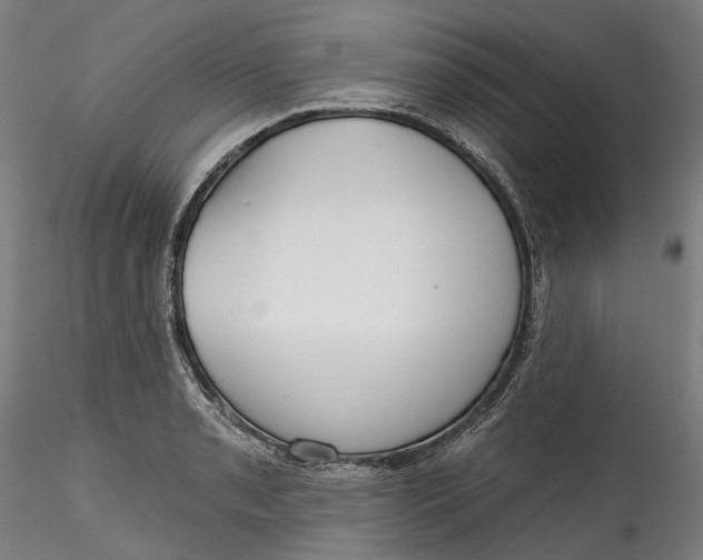 X0000115551085200911271428