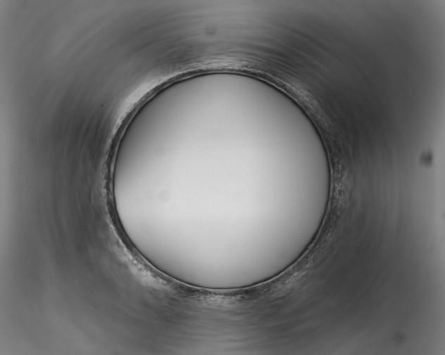 X0000115551086200911271428