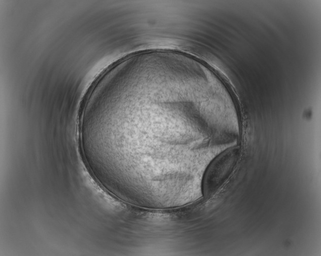 X0000115551088200911271428