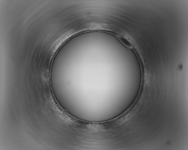 X0000115551089200911271428