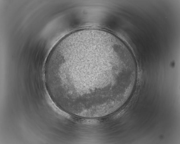 X0000115551090200911271428