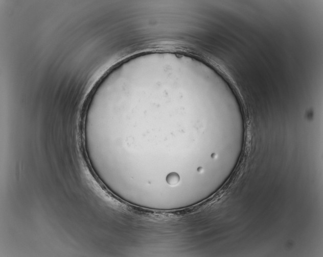 X0000115551091200911271428