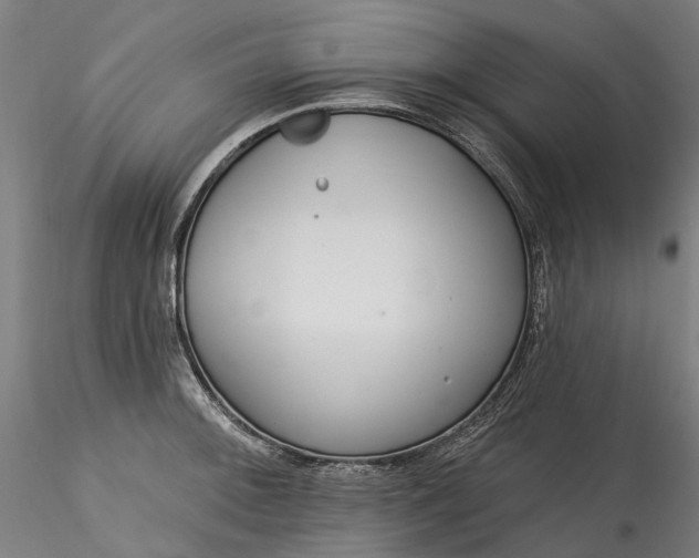 X0000115551092200911271428