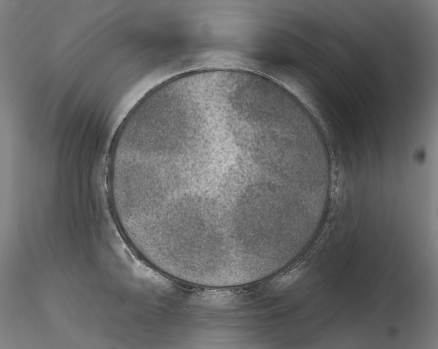 X0000115551094200911271428