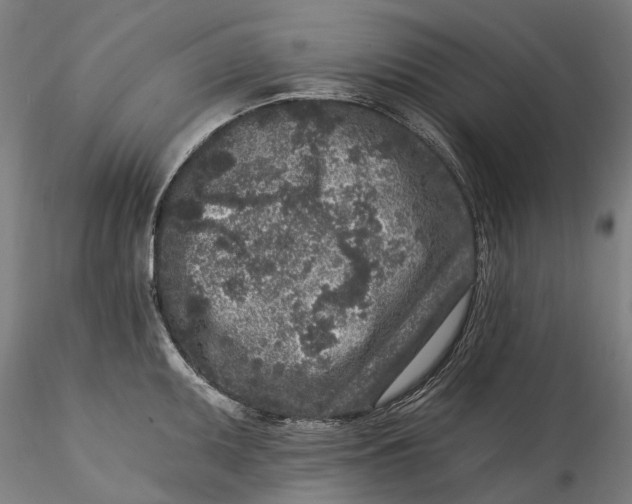 X0000115551095200911271428