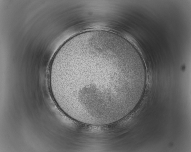 X0000115551098200911271428