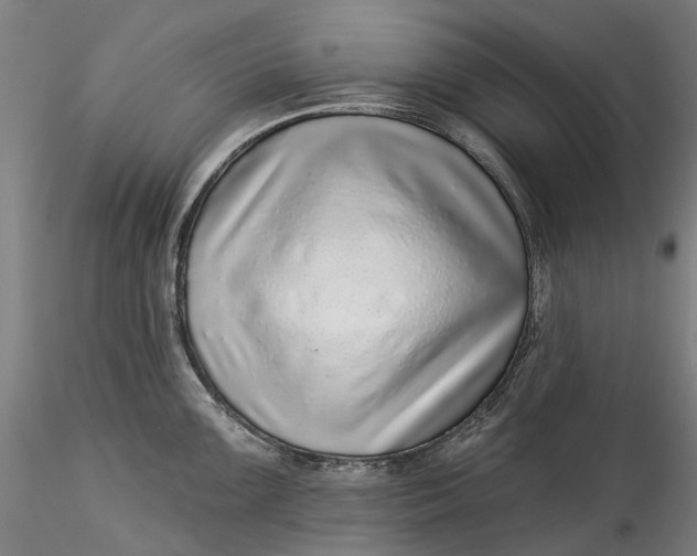 X0000115551099200911271428