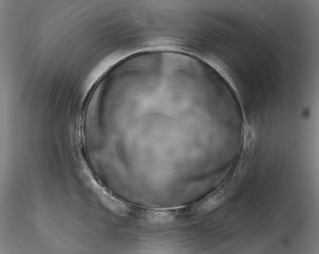 X0000115551101200911271428