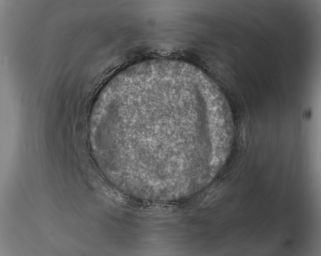 X0000115551105200911271427