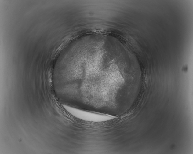 X0000115551106200911271427