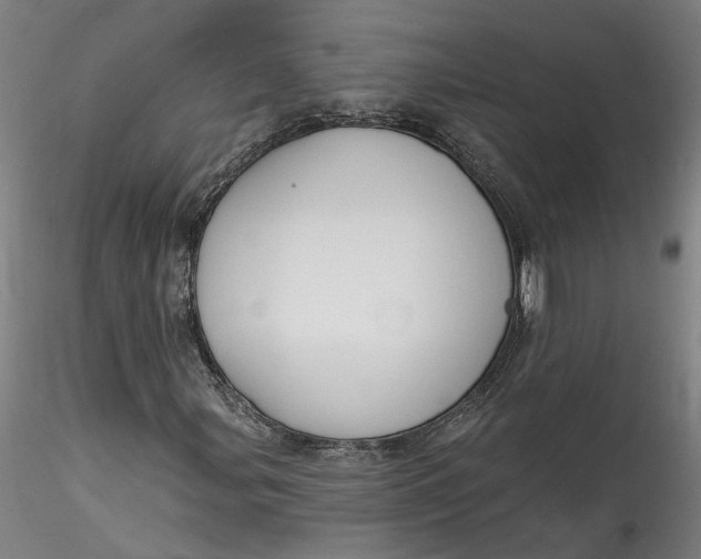 X0000115551107200911271427