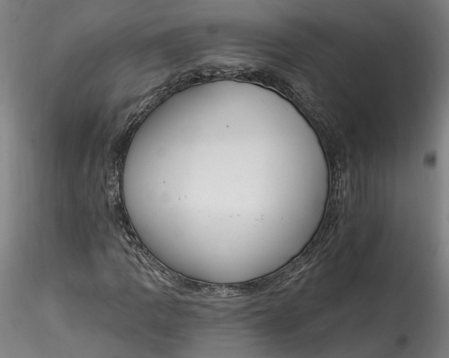 X0000115551109200911271427