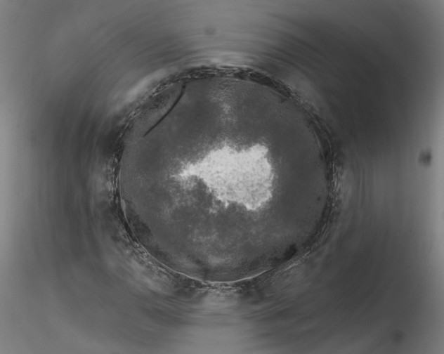 X0000115551110200911271427