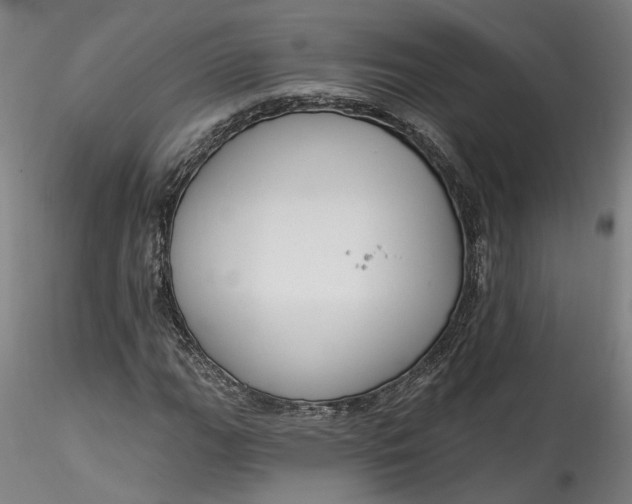 X0000115551111200911271427