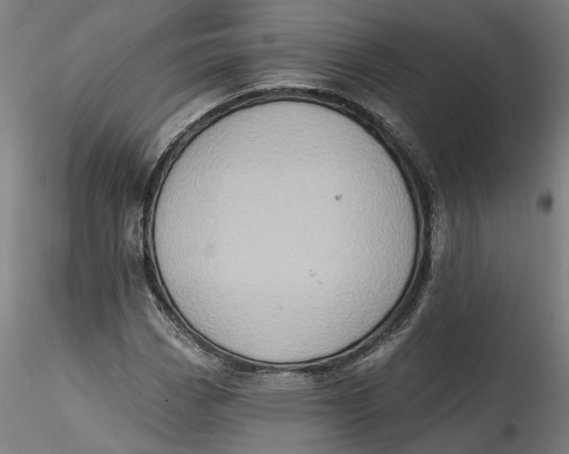 X0000115551113200911271427