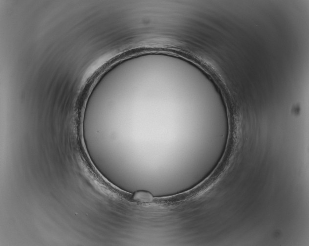 X0000115551114200911271427