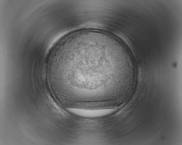 X0000115551115200911271427