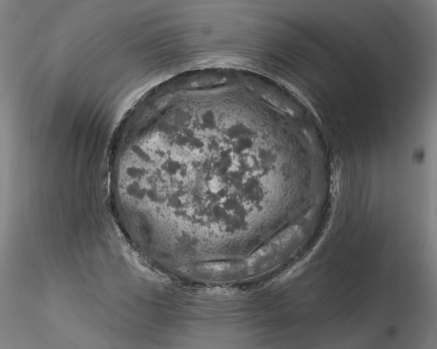 X0000115551117200911271427