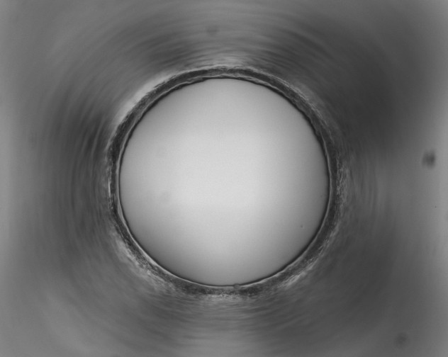 X0000115551118200911271427