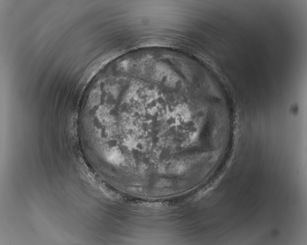 X0000115551121200911271427