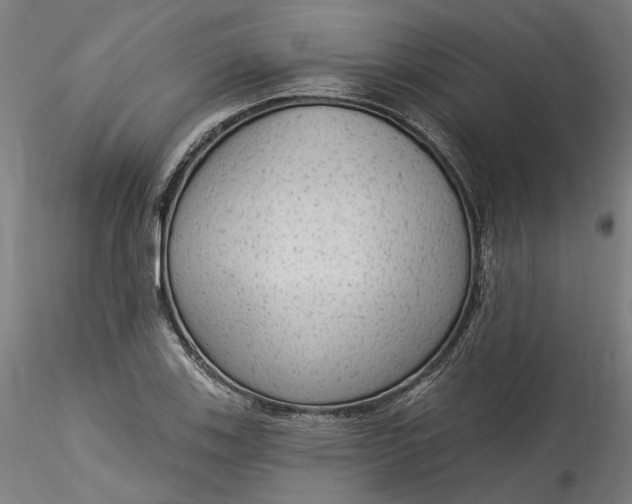 X0000115551123200911271427